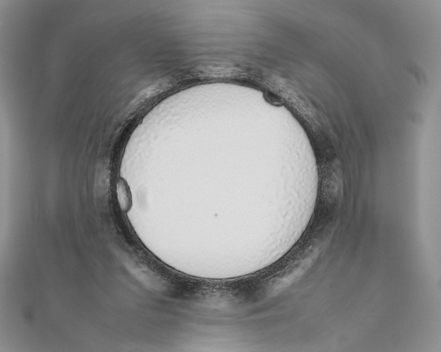X0000111650207200908141259