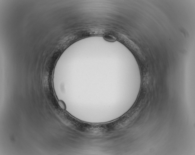 X0000111650209200908141259