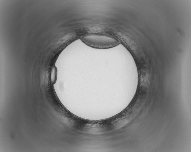 X0000111650211200908141259