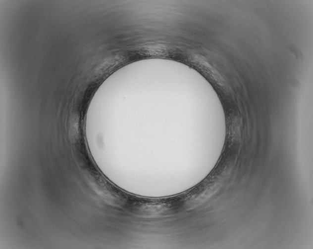 X0000111650213200908141259