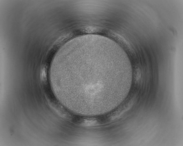 X0000111650214200908141259