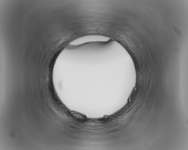 X0000111650215200908141259
