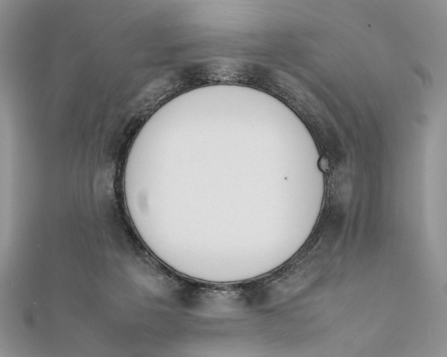 X0000111650217200908141259