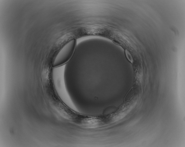 X0000111650219200908141259