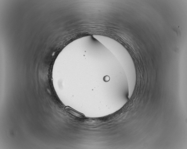 X0000111650221200908141259