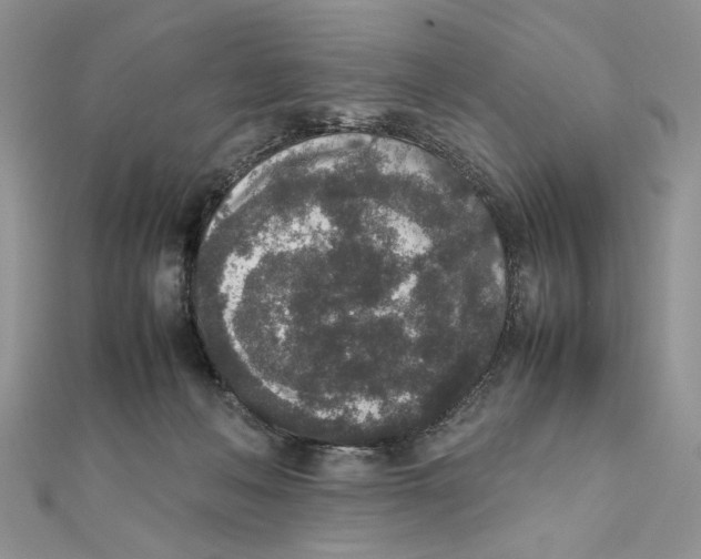 X0000111650222200908141259