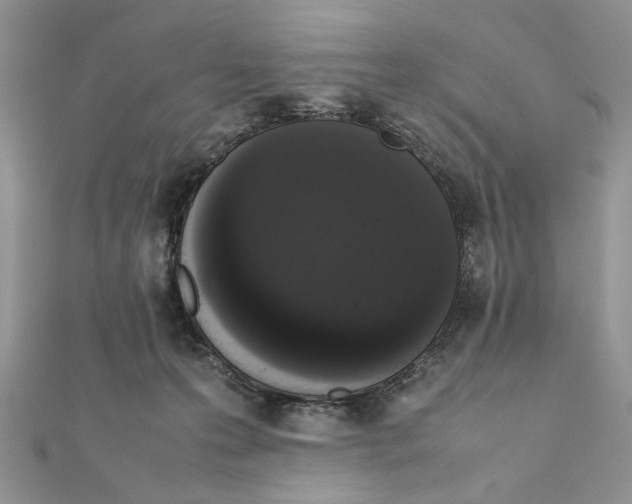X0000111650223200908141259