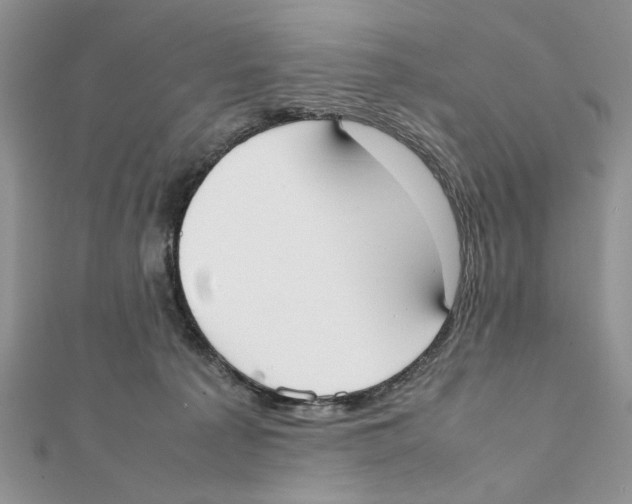 X0000111650225200908141259