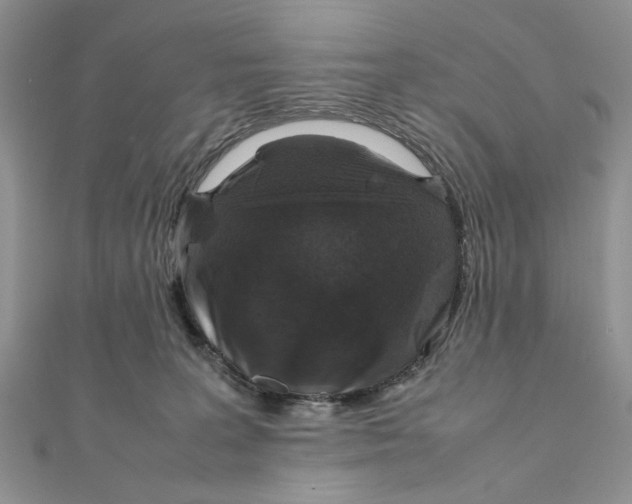 X0000111650227200908141259