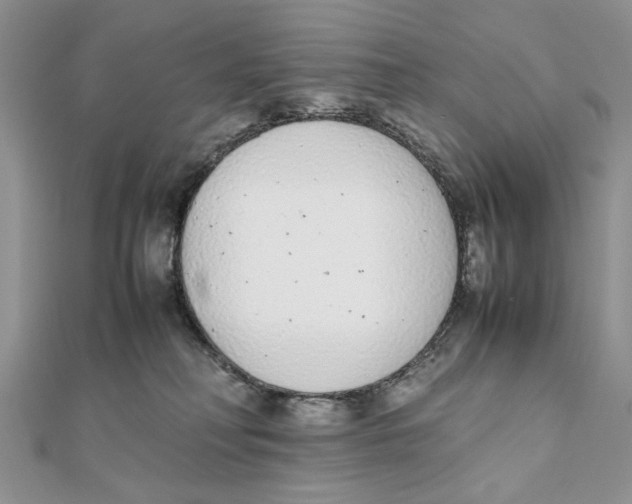 X0000111650230200908141259