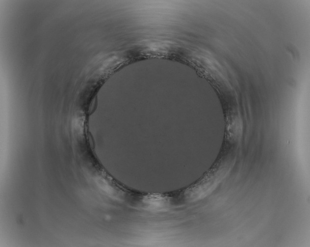 X0000111650231200908141259