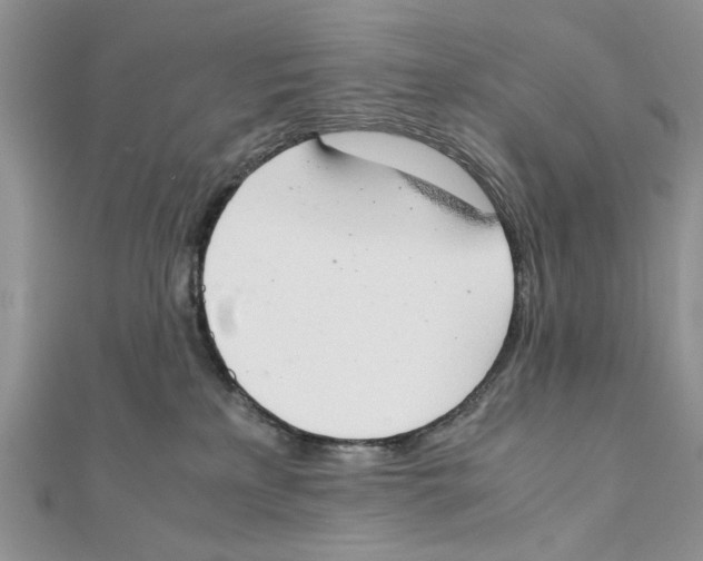 X0000111650233200908141259