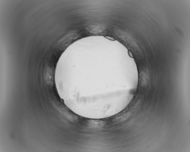 X0000111650234200908141259