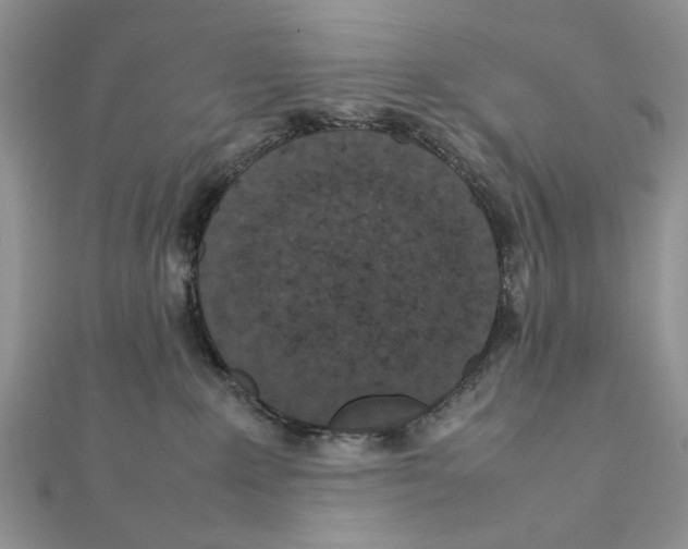 X0000111650235200908141259