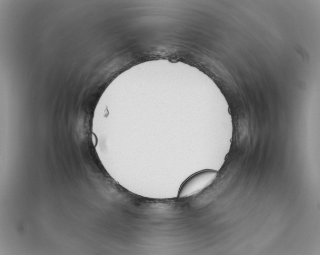 X0000111650236200908141259
