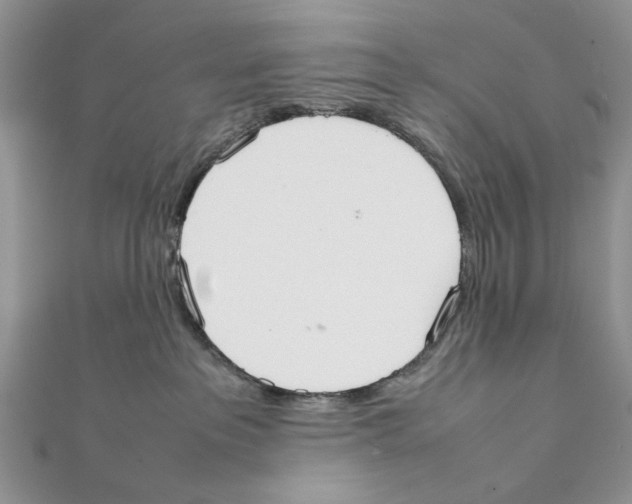X0000111650237200908141259