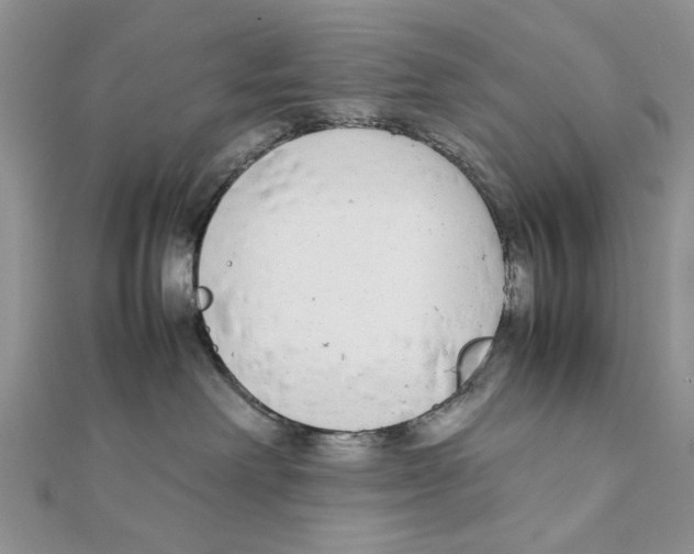 X0000111650238200908141259