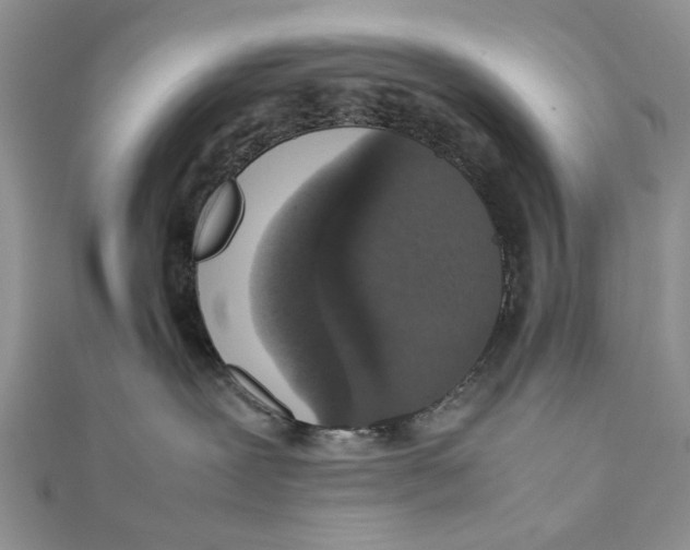 X0000111650239200908141259