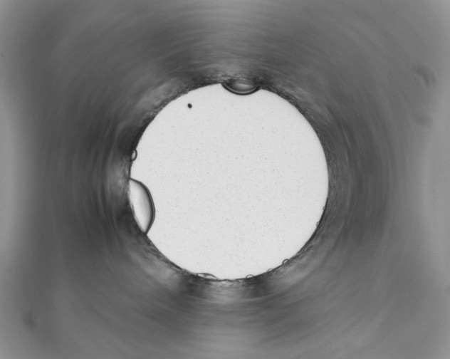 X0000111650240200908141259