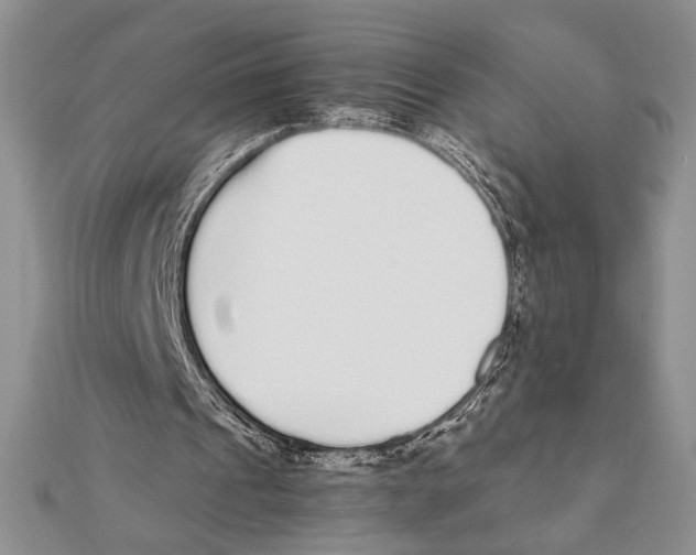 X0000111650241200908141258