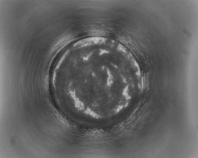 X0000111650243200908141258