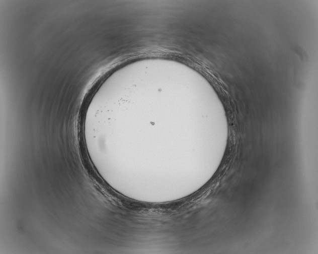 X0000111650244200908141258