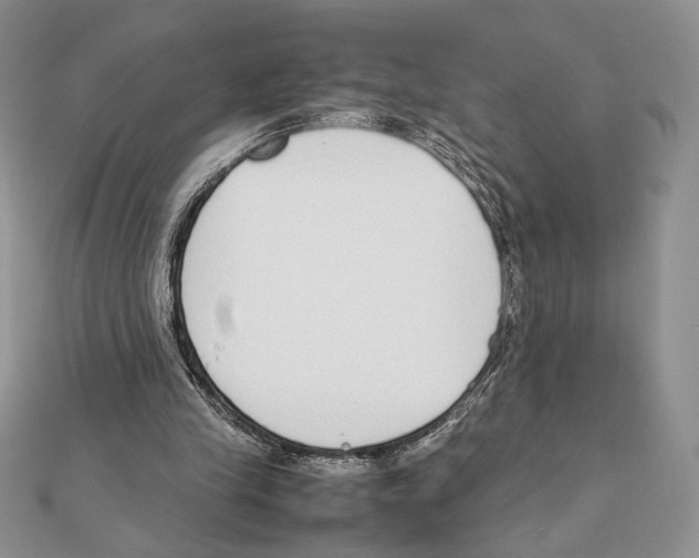 X0000111650245200908141258
