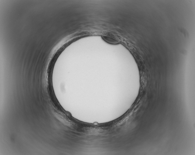 X0000111650246200908141258
