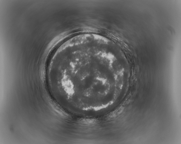 X0000111650247200908141258