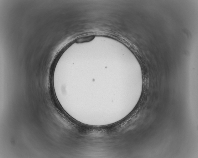 X0000111650248200908141258