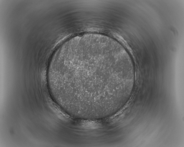 X0000111650249200908141258