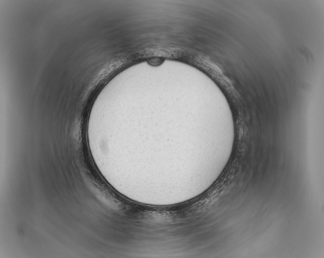 X0000111650250200908141258
