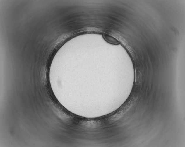 X0000111650253200908141258