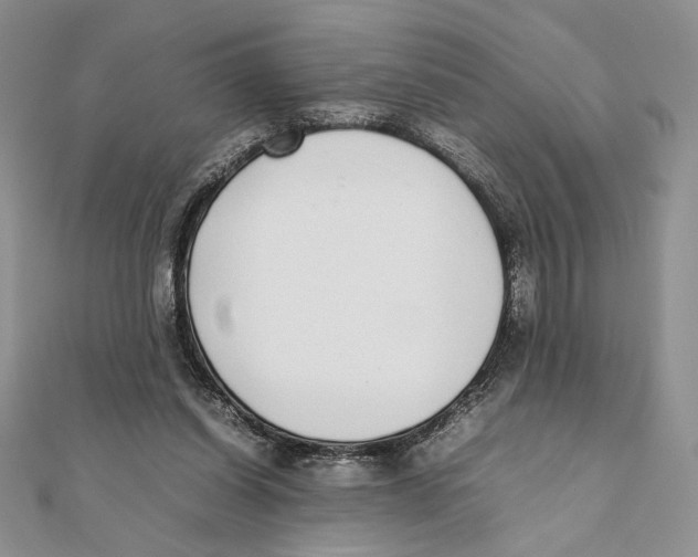 X0000111650254200908141258
