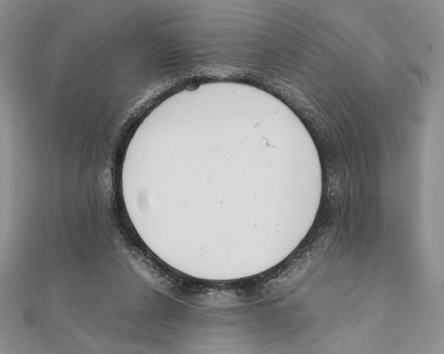 X0000111650256200908141258