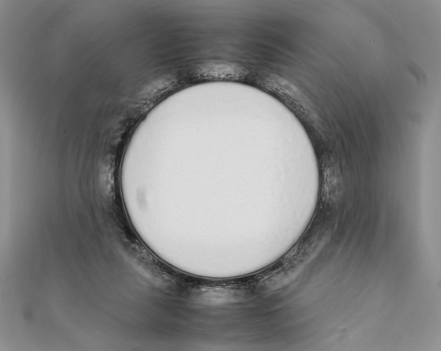 X0000111650259200908141258