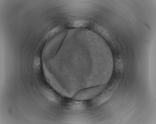 X0000111650260200908141258