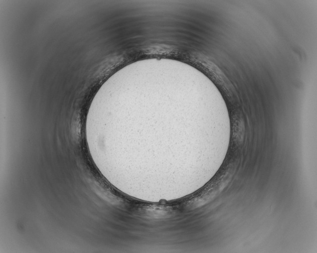 X0000111650261200908141258