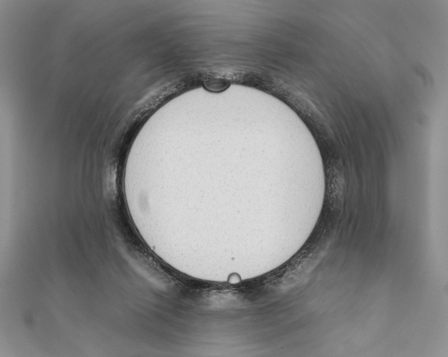 X0000111650262200908141258
