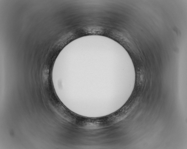 X0000111650263200908141258