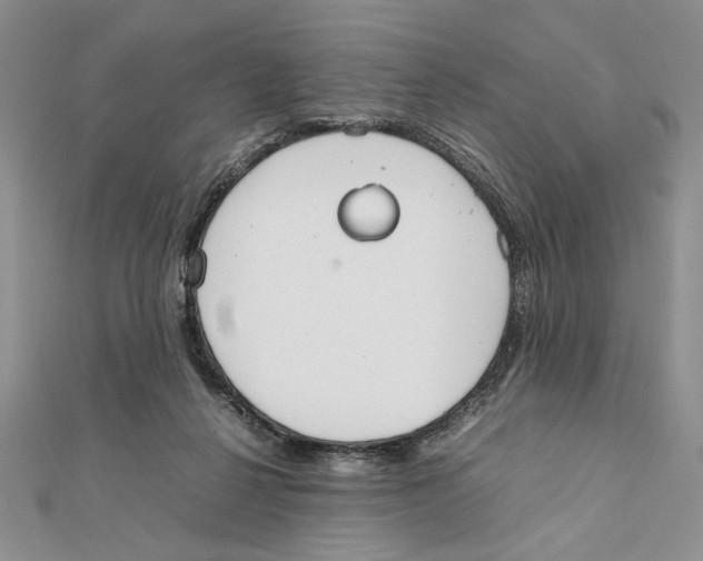 X0000111650264200908141258