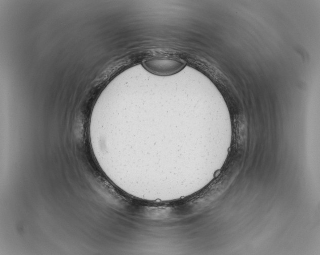 X0000111650266200908141258