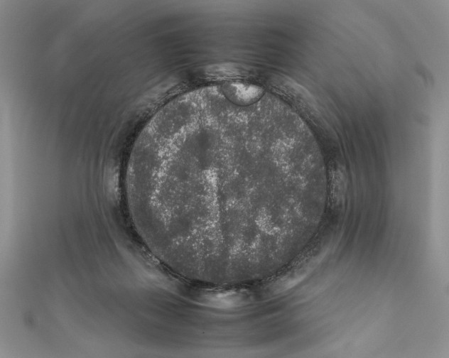 X0000111650267200908141258