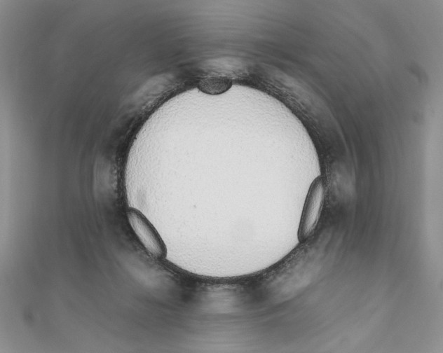 X0000111650268200908141258
