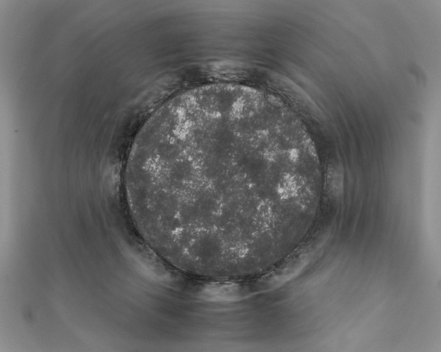 X0000111650271200908141258