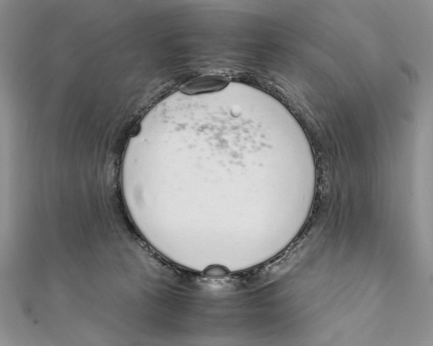 X0000111650273200908141258