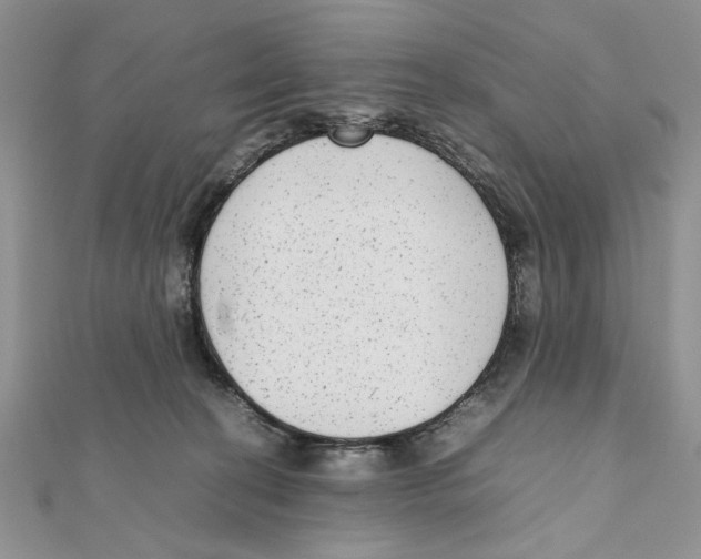 X0000111650274200908141258