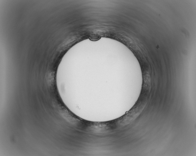 X0000111650278200908141258