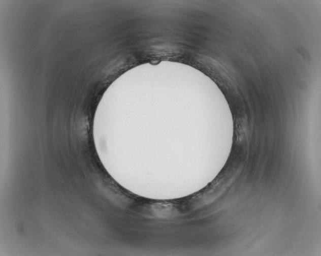 X0000111650279200908141258