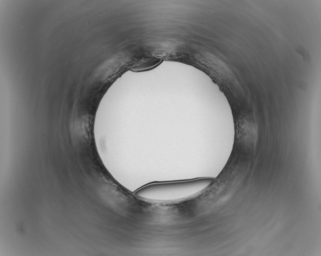 X0000111650280200908141258